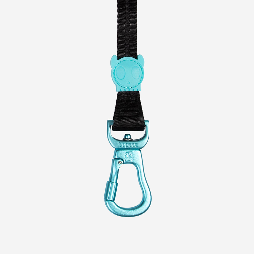 Long Leash | Segundo
