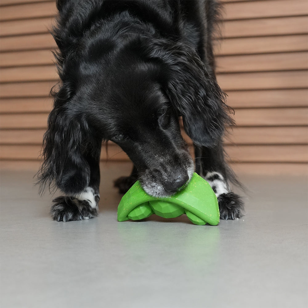 Super Veggiez Green Peas | Toys