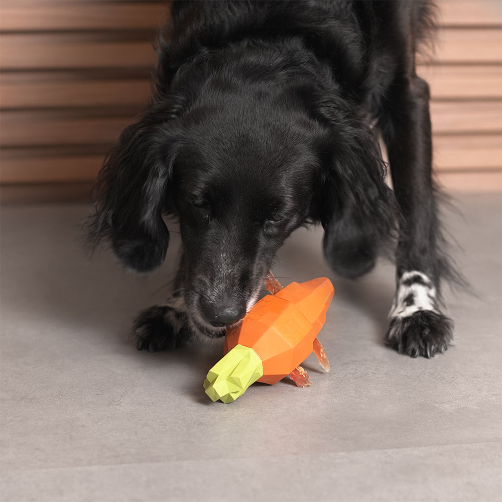 Super Veggiez Carrot | Toys