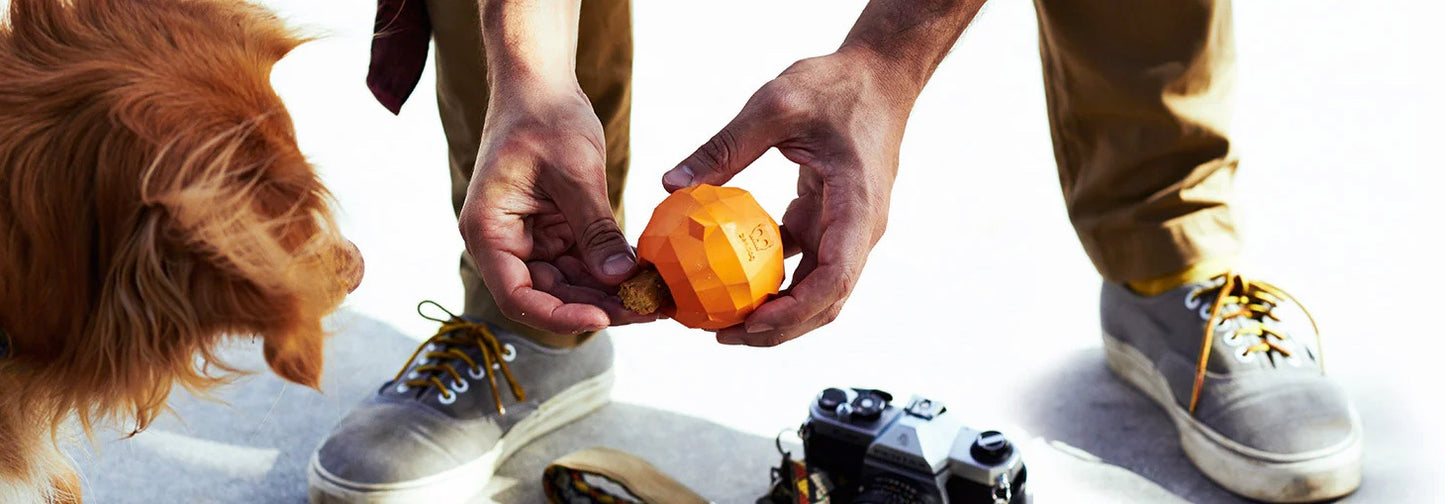 Super Orange | Dog Toy