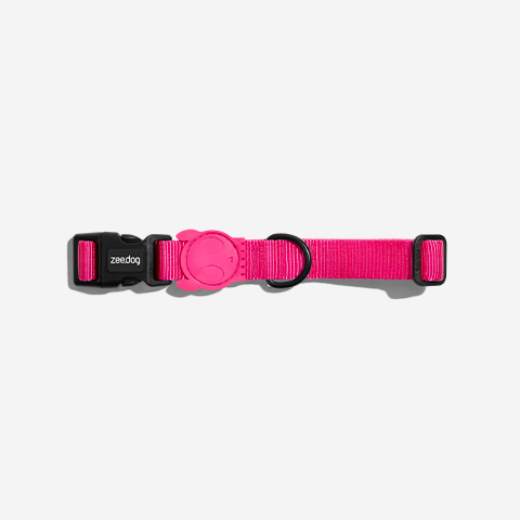 Classic Pink LED | Collar