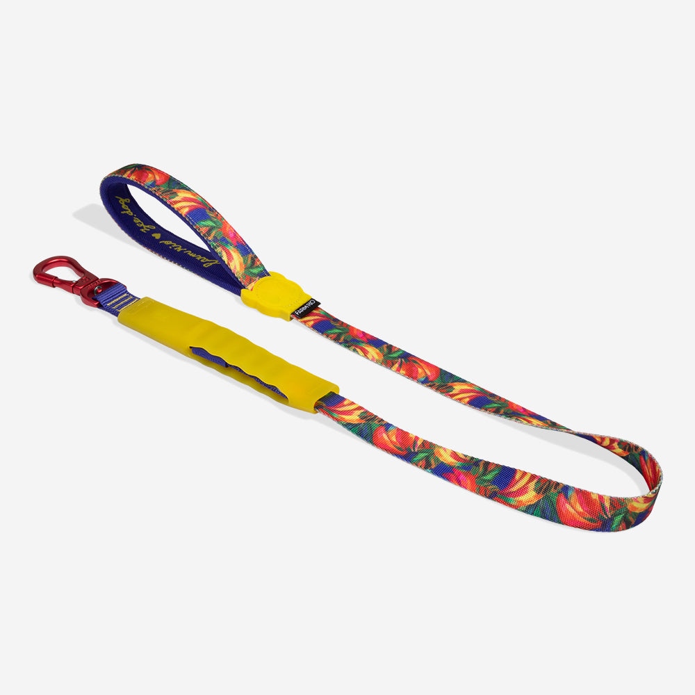 Samba | Air Leash