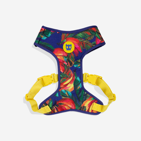 Samba | Adjustable Air Mesh Harness