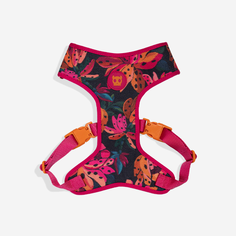 Selva | Adjustable Air Mesh Harness