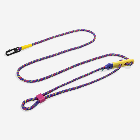 Samba | Handsfree Leash