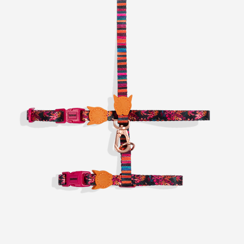 Selva | Cat Harness & Leash Set