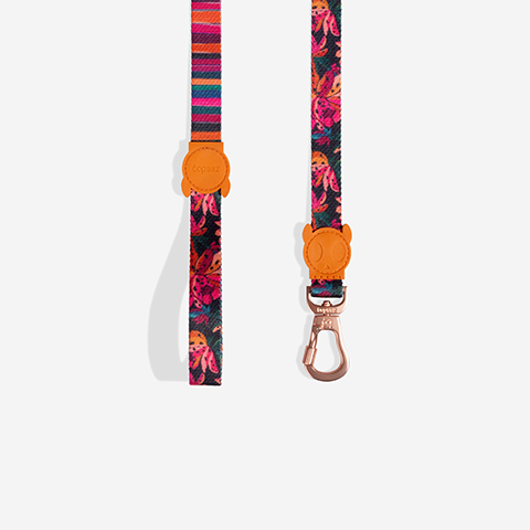 Selva | Leash