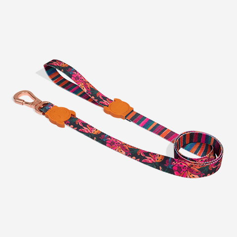 Selva | Leash