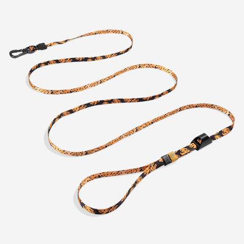 Bossa Banana | Long Leash