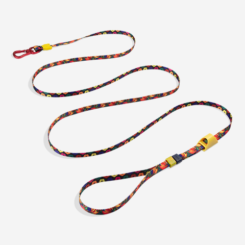 Samba | Long Leash