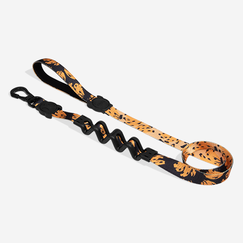 Bossa Banana | Ruff Leash