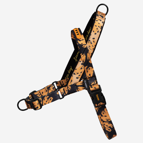 Bossa Banana | Softer Walk Harness