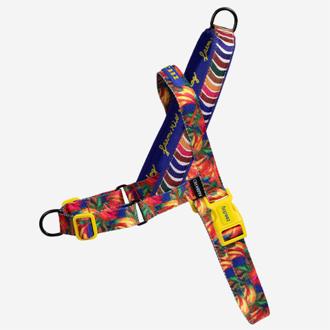 Samba | Softer Walk Harness