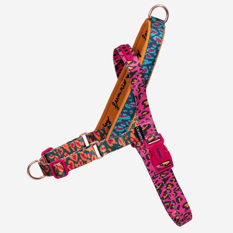 Selva | Softer Walk Harness