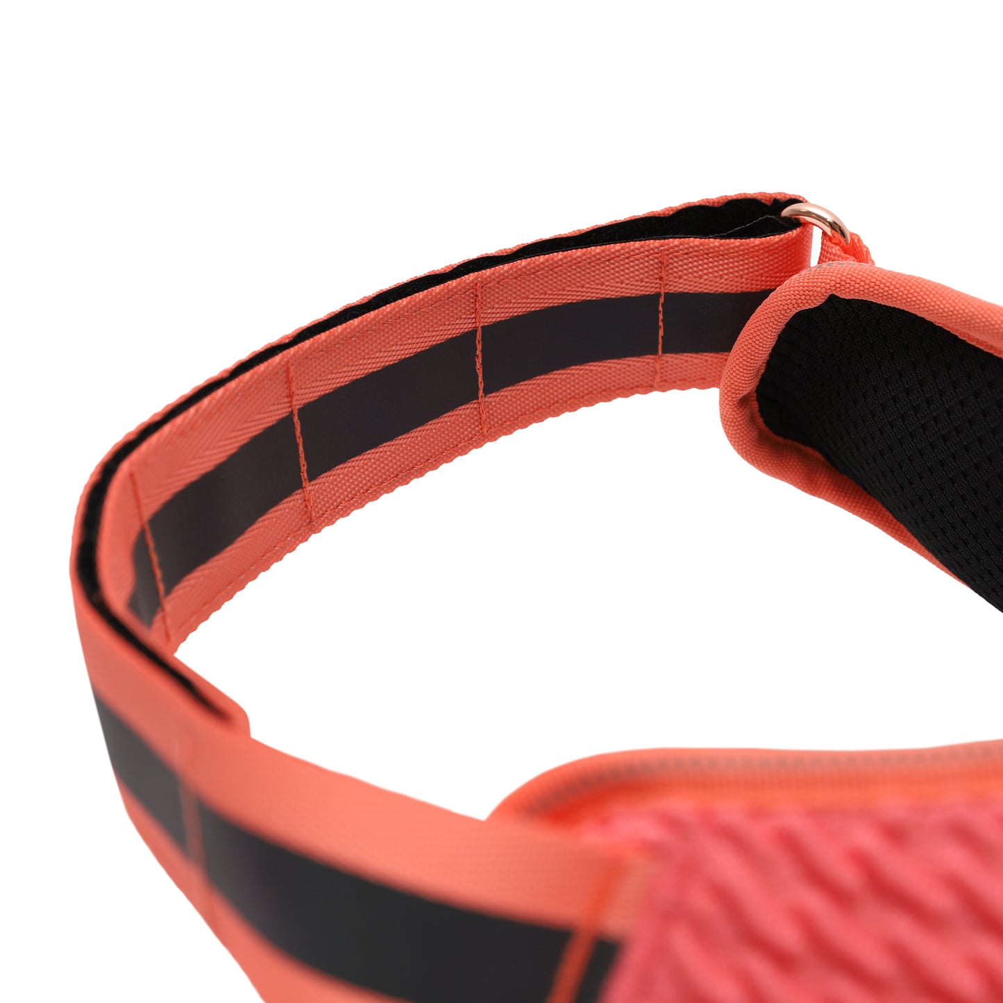 Gazelle | FlyHarness