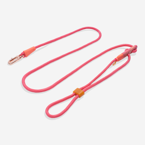 Gazelle | Handsfree Leash