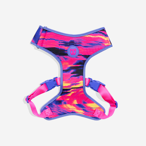 Glitch Error 500 | Adjustable Air Mesh Harness