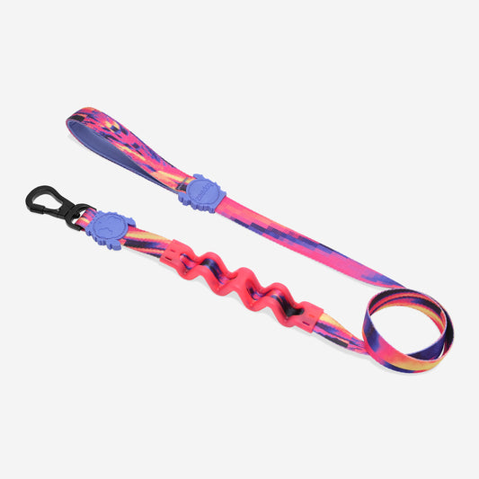 Glitch Error 500 | Ruff Leash