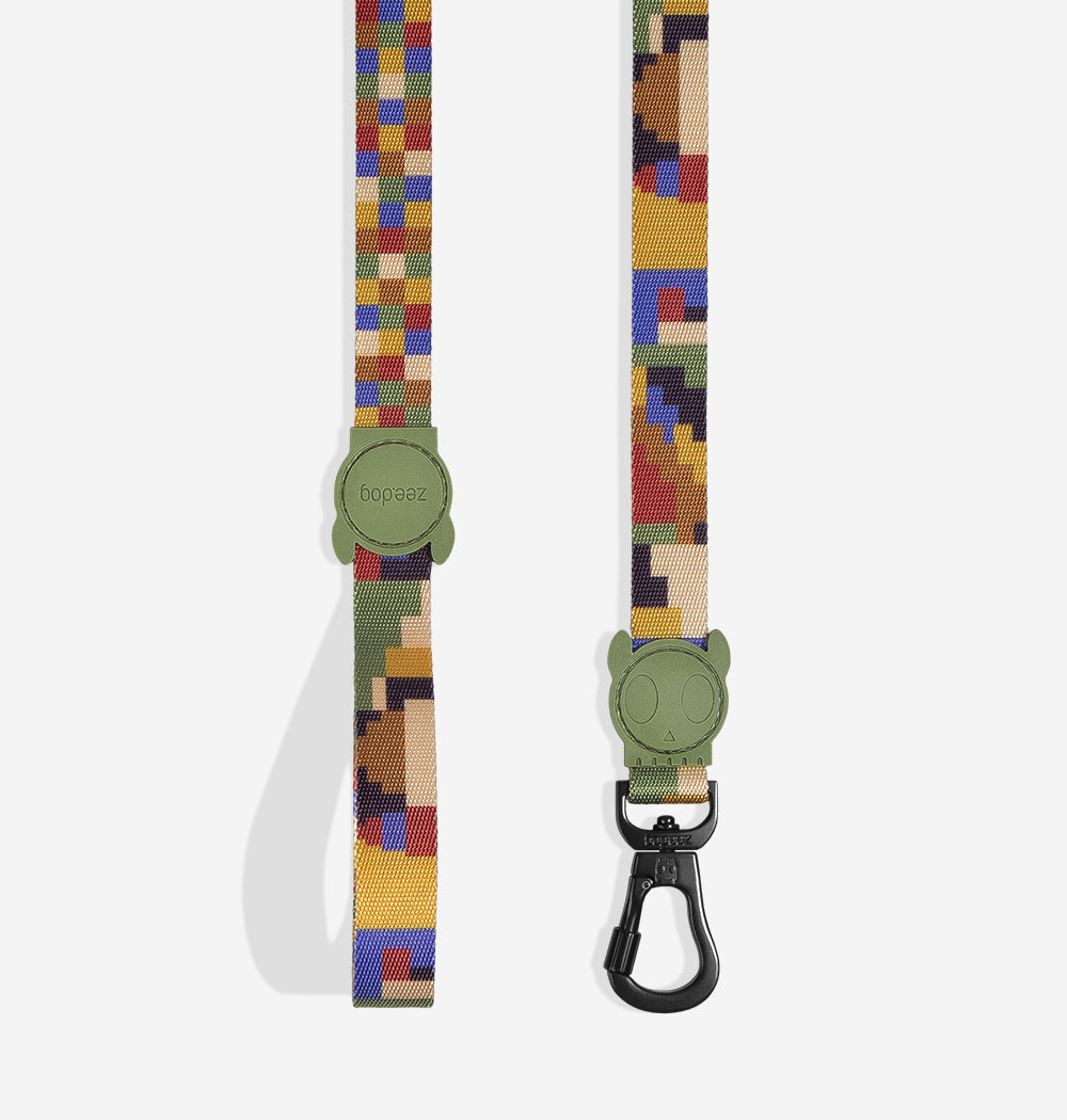 Pixel | Leash