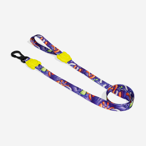 H3D Puff | Leash