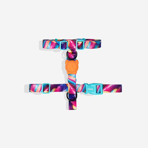 H3D Bounce | H-Harness