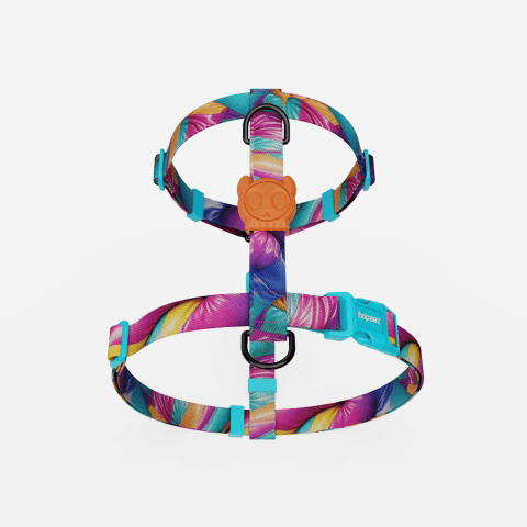 H3D Bounce | H-Harness