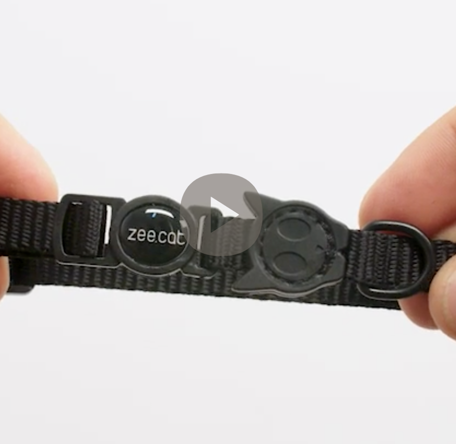 H3D Jelly | Cat Collar