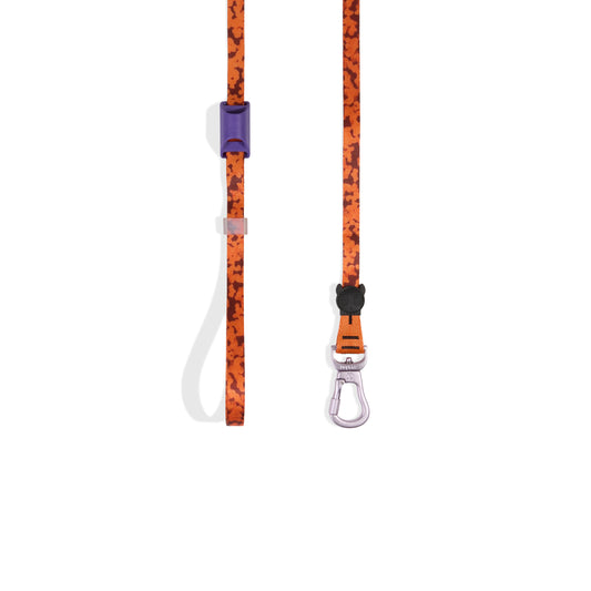 Leopard | Long Leash