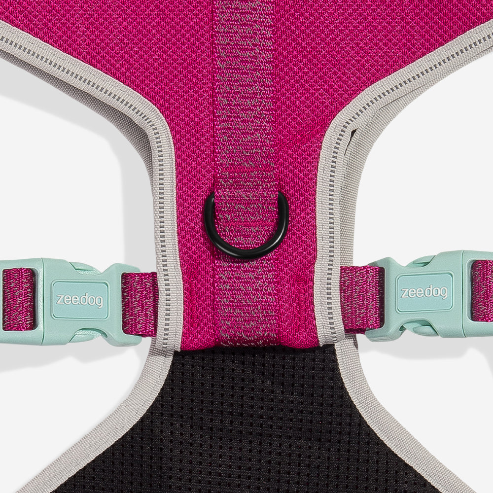 Nox Sidus | Adjustable Air Mesh Harness