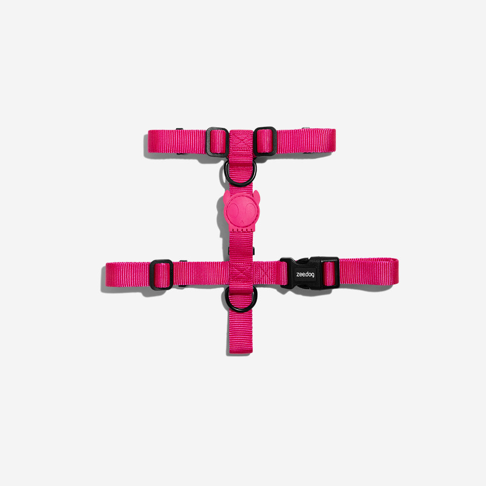 Classic Pink LED | H-Harness