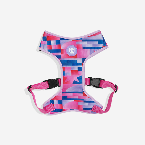 Noon | Adjustable Air Mesh Harness