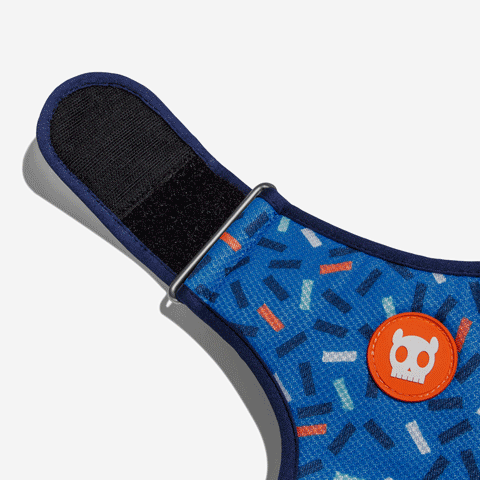 Classic Atlanta | Adjustable Air Mesh Harness