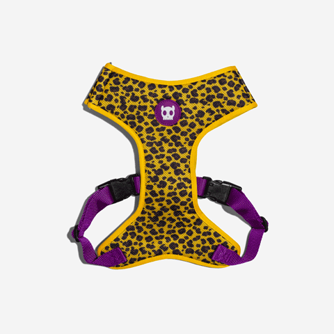 Classic Honey | Adjustable Air Mesh Harness