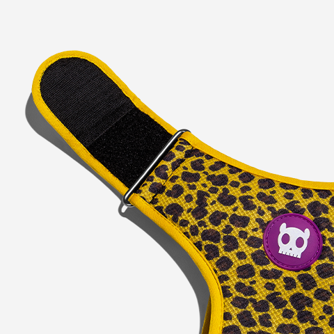 Classic Honey | Adjustable Air Mesh Harness