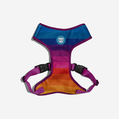 Classic Prisma | Adjustable Air Mesh Harness