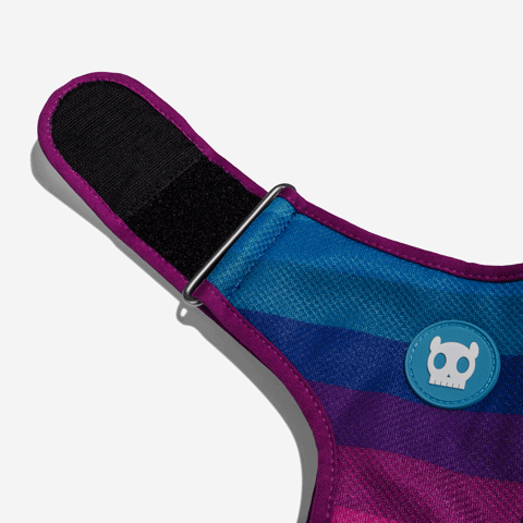 Classic Prisma | Adjustable Air Mesh Harness