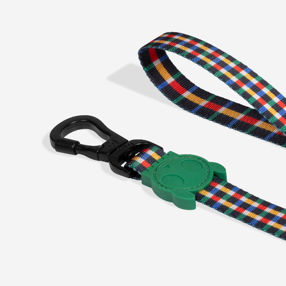 Travis | Leash