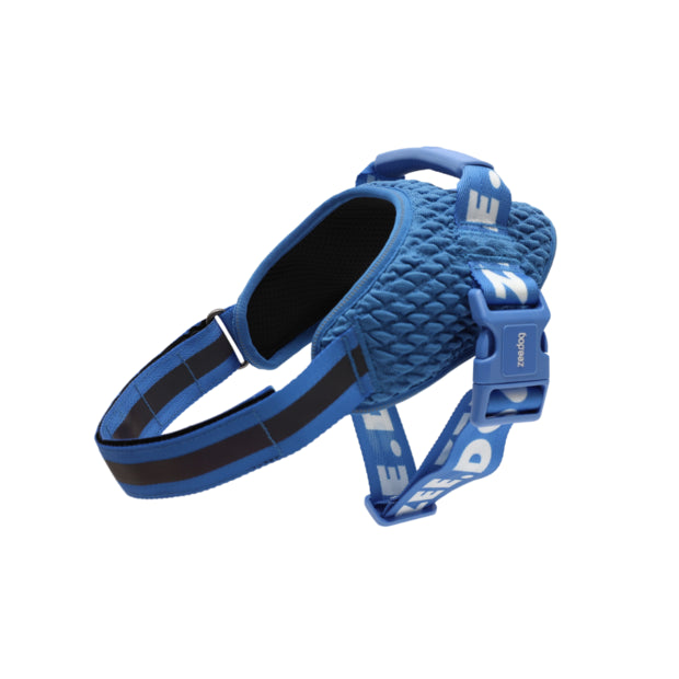 Slam Dunk | FlyHarness