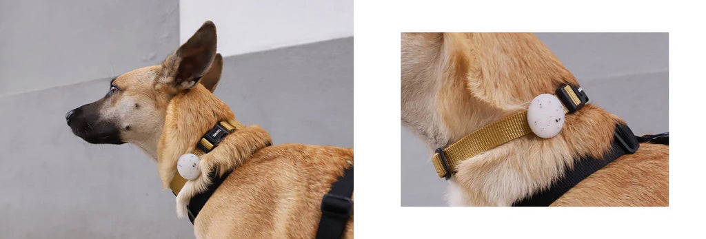 Jelly | AirTag Holder