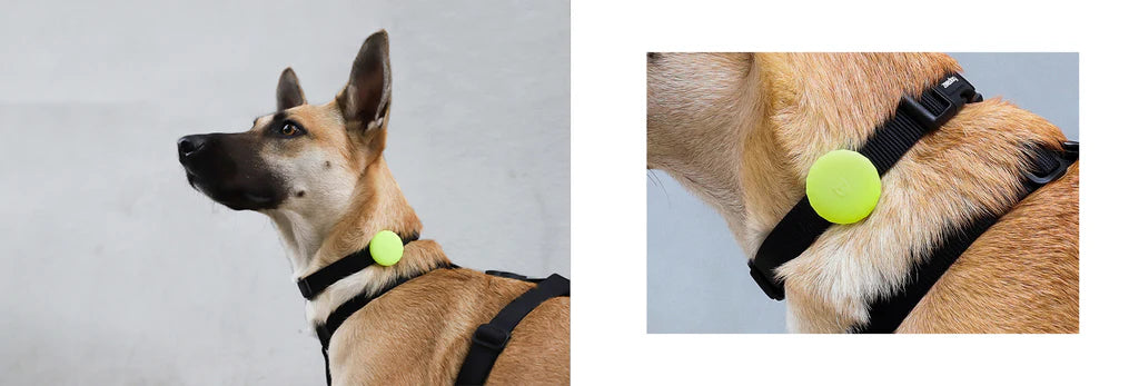 Lime | AirTag Holder