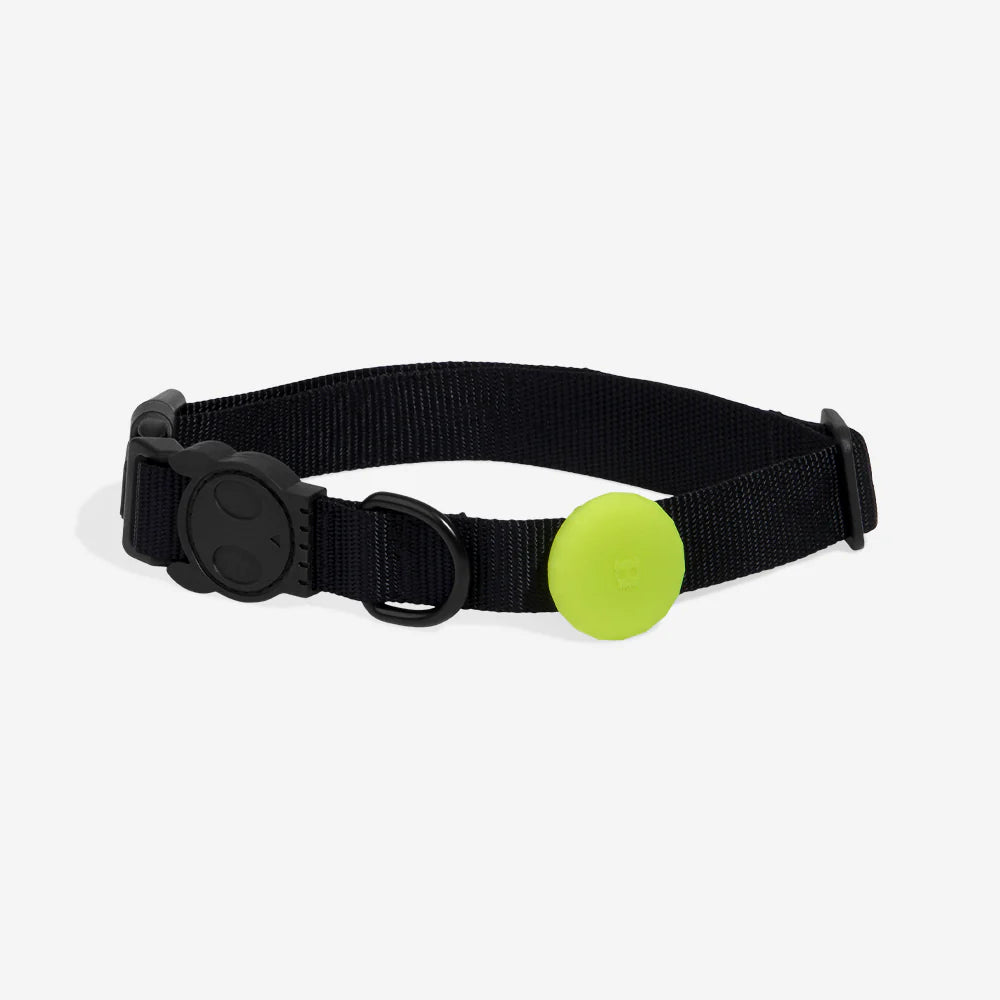 Lime | AirTag Holder