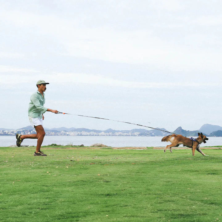 Primo | Long Leash