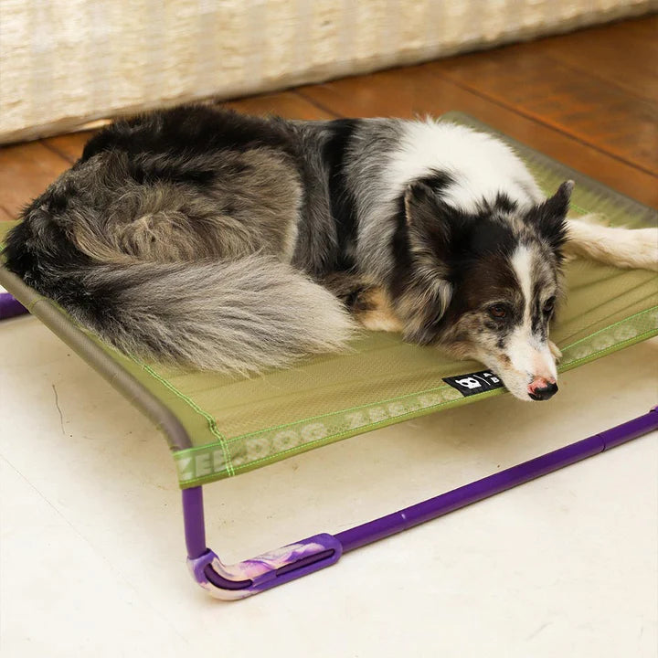 Green | Air Bed