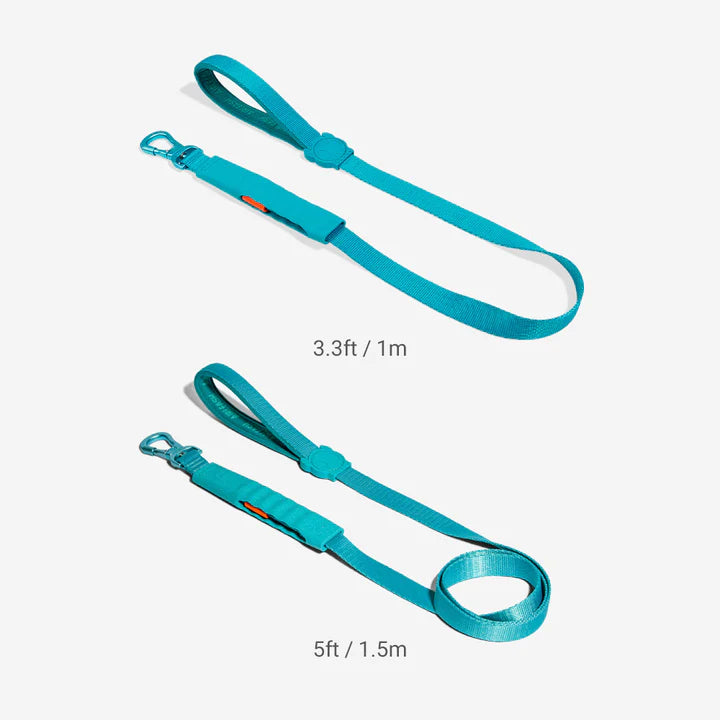 Blue | Air Leash