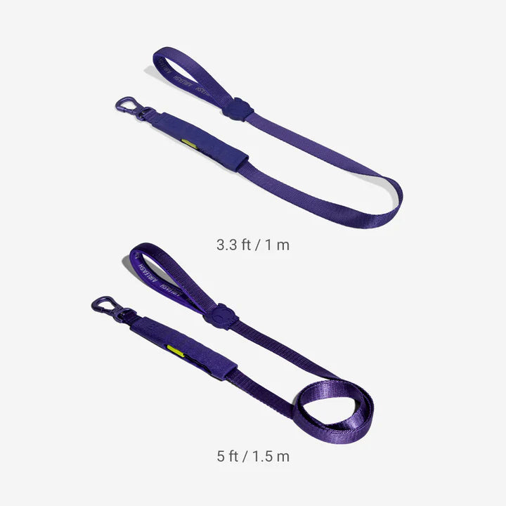 Violet | Air Leash