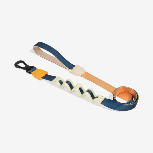 Classic Voyage | Ruff Leash