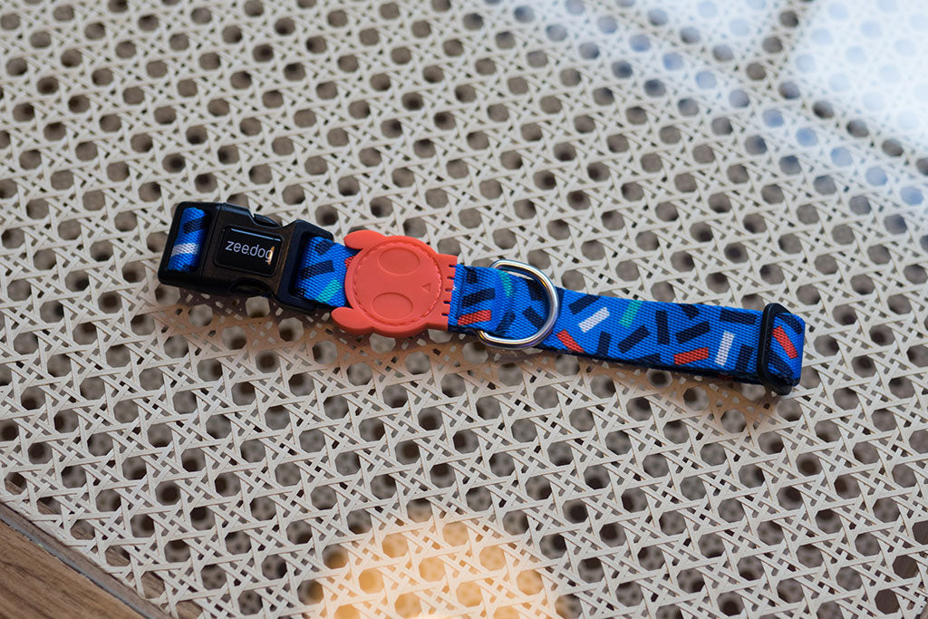 dog-collars-atlanta-zee-dog