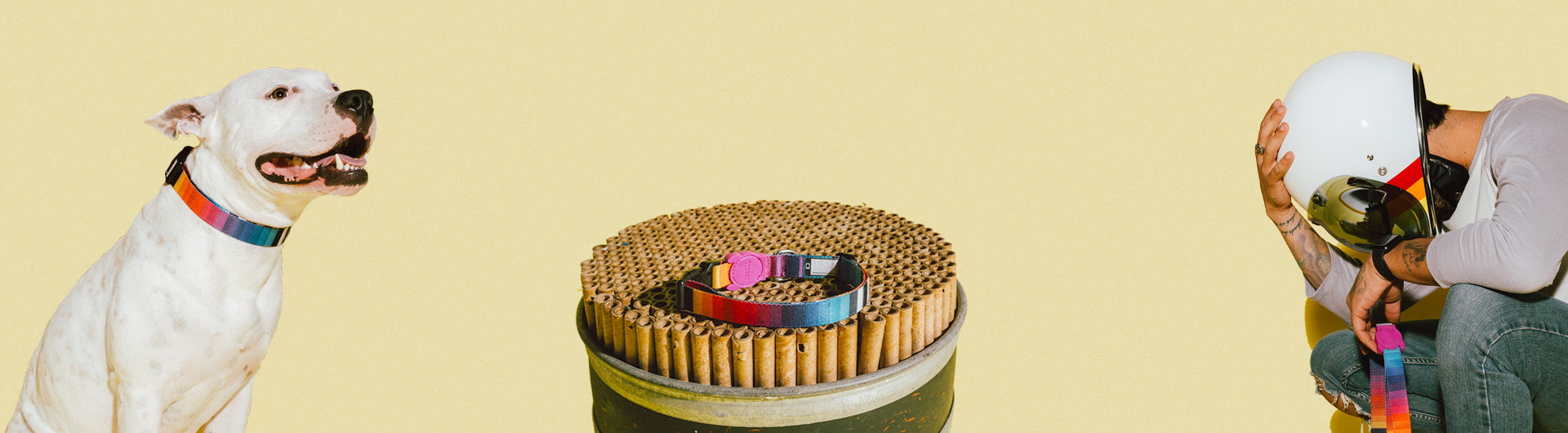 dog-collars-prisma-zee-dog