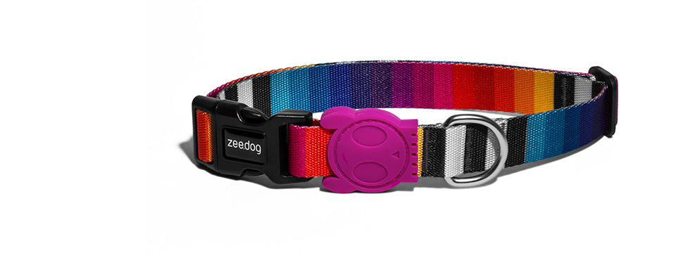 dog-collars-prisma-zee-dog