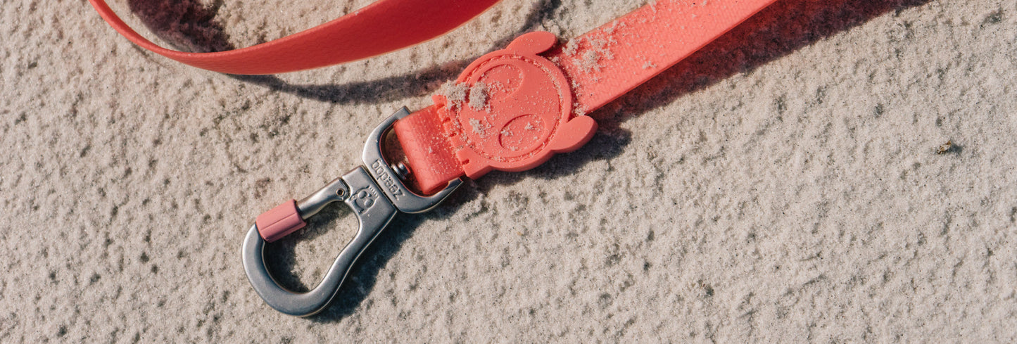 Classic Neopro Bubblegum | Leash